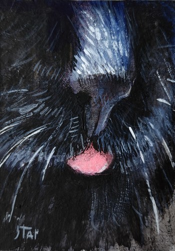 Aceo originale acrilico - aceo,