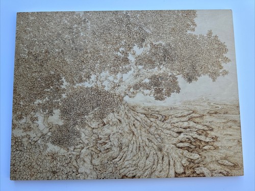 Haijing chen disegno - haijing,