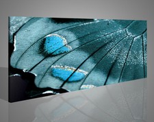 Quadro azzurro con ali di una