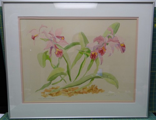 Acquerello originale lucille - acquerello,