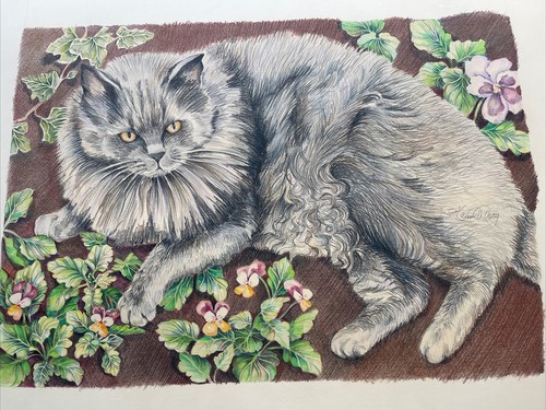 Ritratto disegno gattino gatto - ritratto,