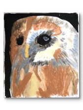 Pop art colorata dettagliata