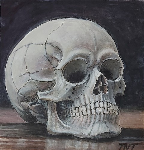 Teschio umano tavola - umano, su
