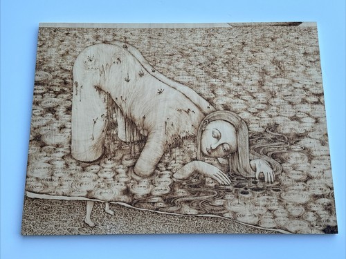 Haijing chen disegno - haijing,